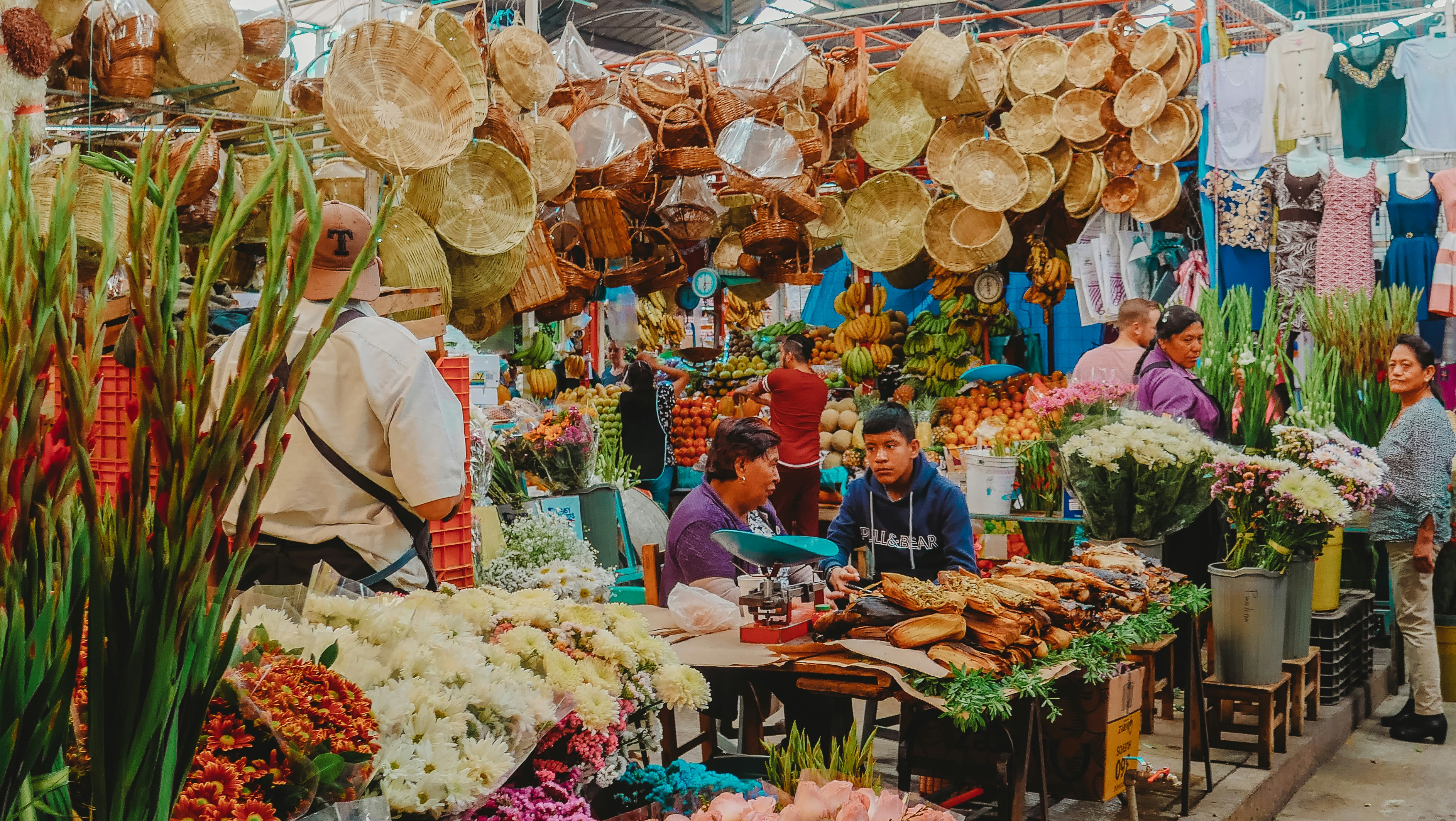 Chile Varieties
